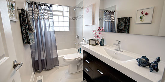 Bathroom Remodeling Ideas
