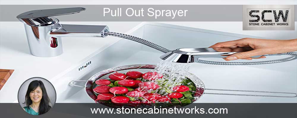 Pull Out Sprayer